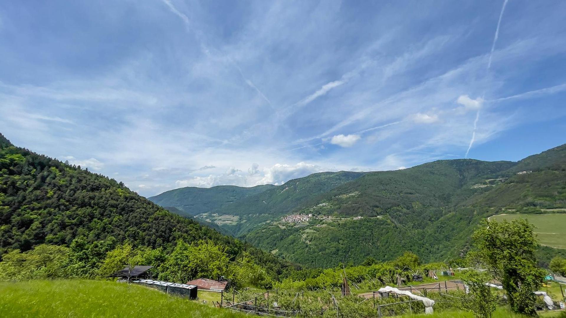 Agriturismo Mirtilla Trente Extérieur photo